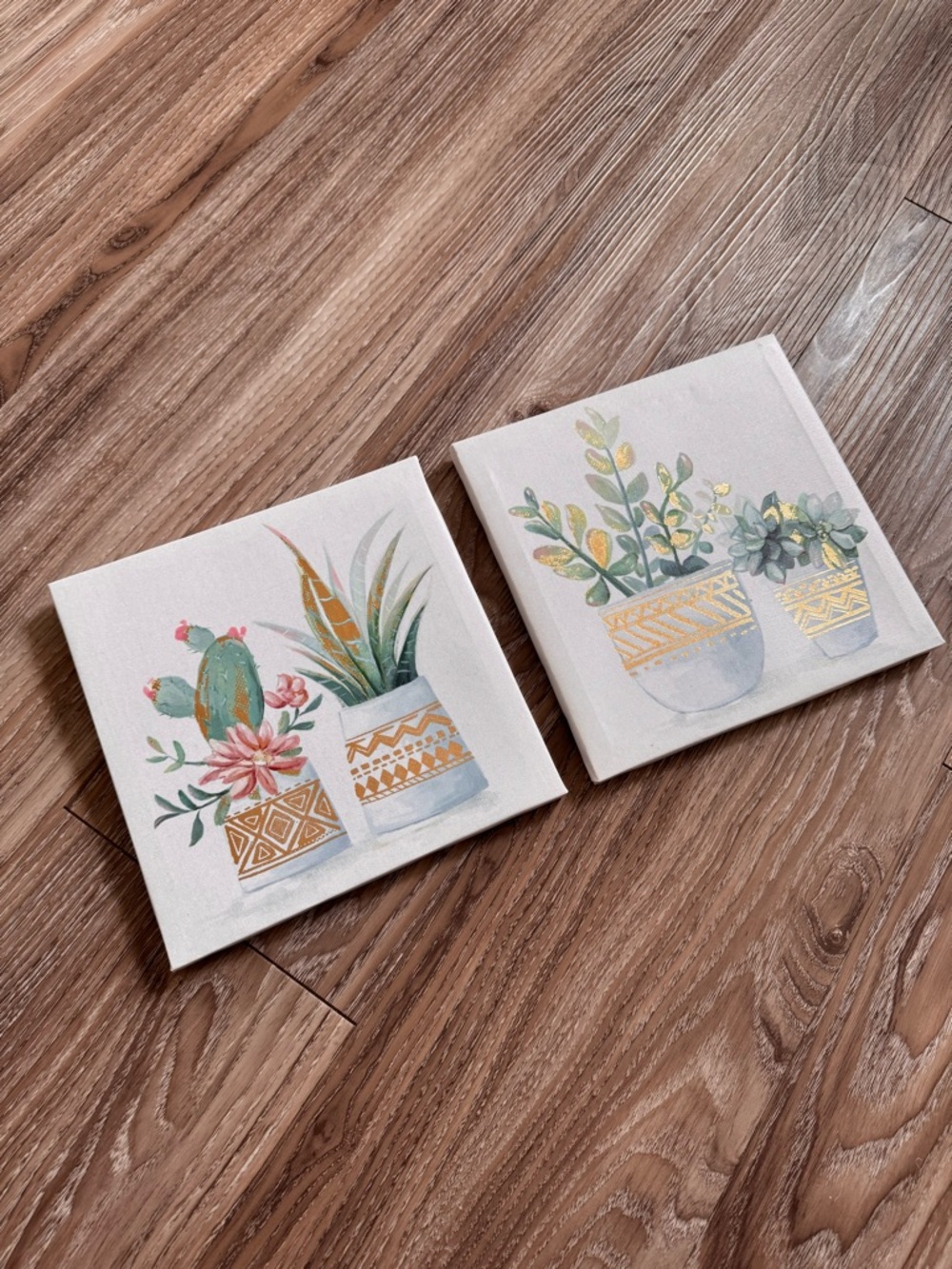 Succulent Plant Art Set - Picture 4 of 13